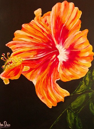 Hibiscus geschilderd door AnsDuinArt.com