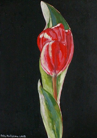 De laatste tulp geschilderd door Frits Hoitsema KUNSTSCHILDER